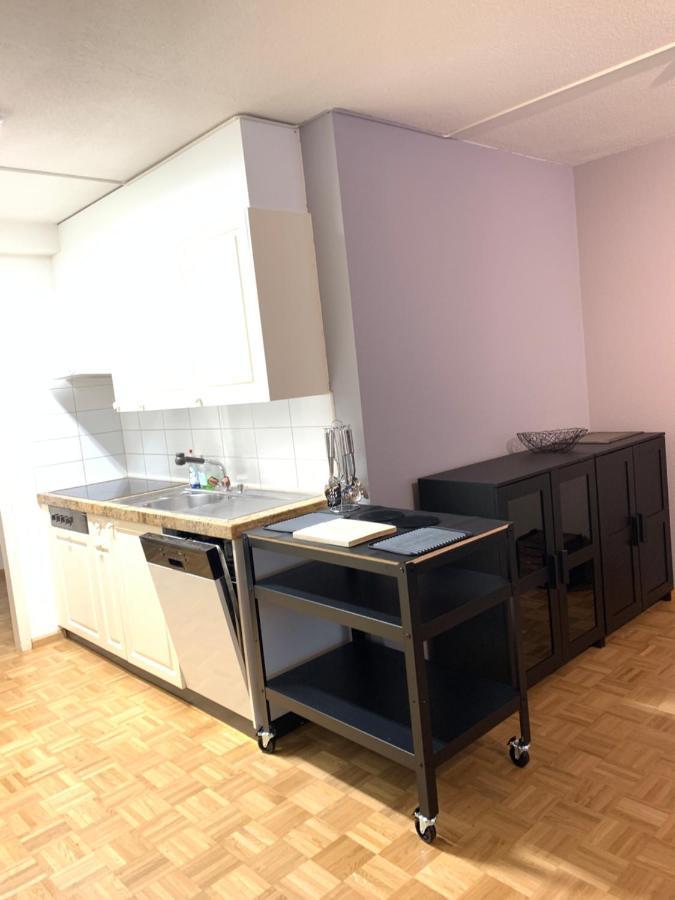Xl City Center Apartment-Contactless Check-In Basilej Exteriér fotografie